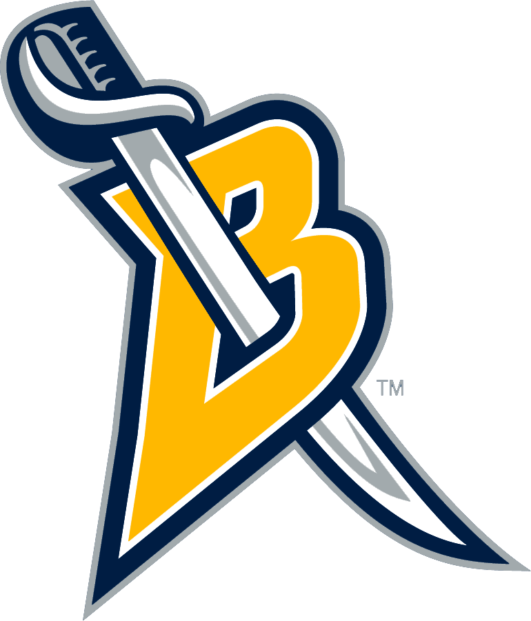 Buffalo Sabres 2006-2012 Alternate Logo iron on transfers for clothing